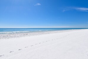Playa en los alrededores y camastros 