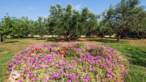 Un jardin avec un parterre de fleurs circulaire au premier plan et des arbres en arrière-plan.