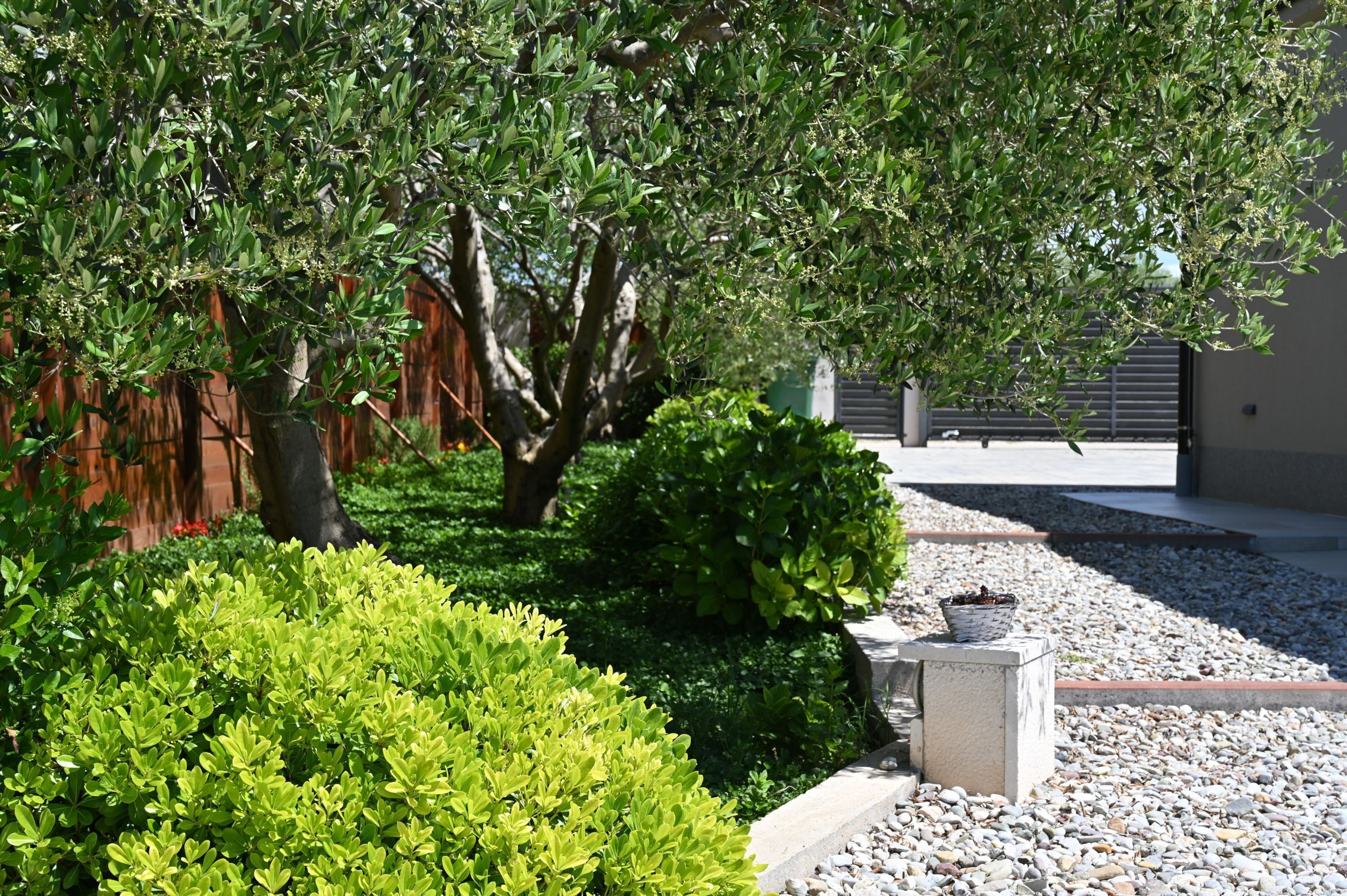 Un jardín con arbustos y árboles variados, un sendero y una jardinera de concreto con un diseño de cesta.
