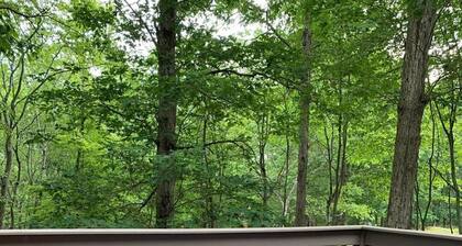 Nice Cabin in the Poconos Mountain (Saw Creek Est)