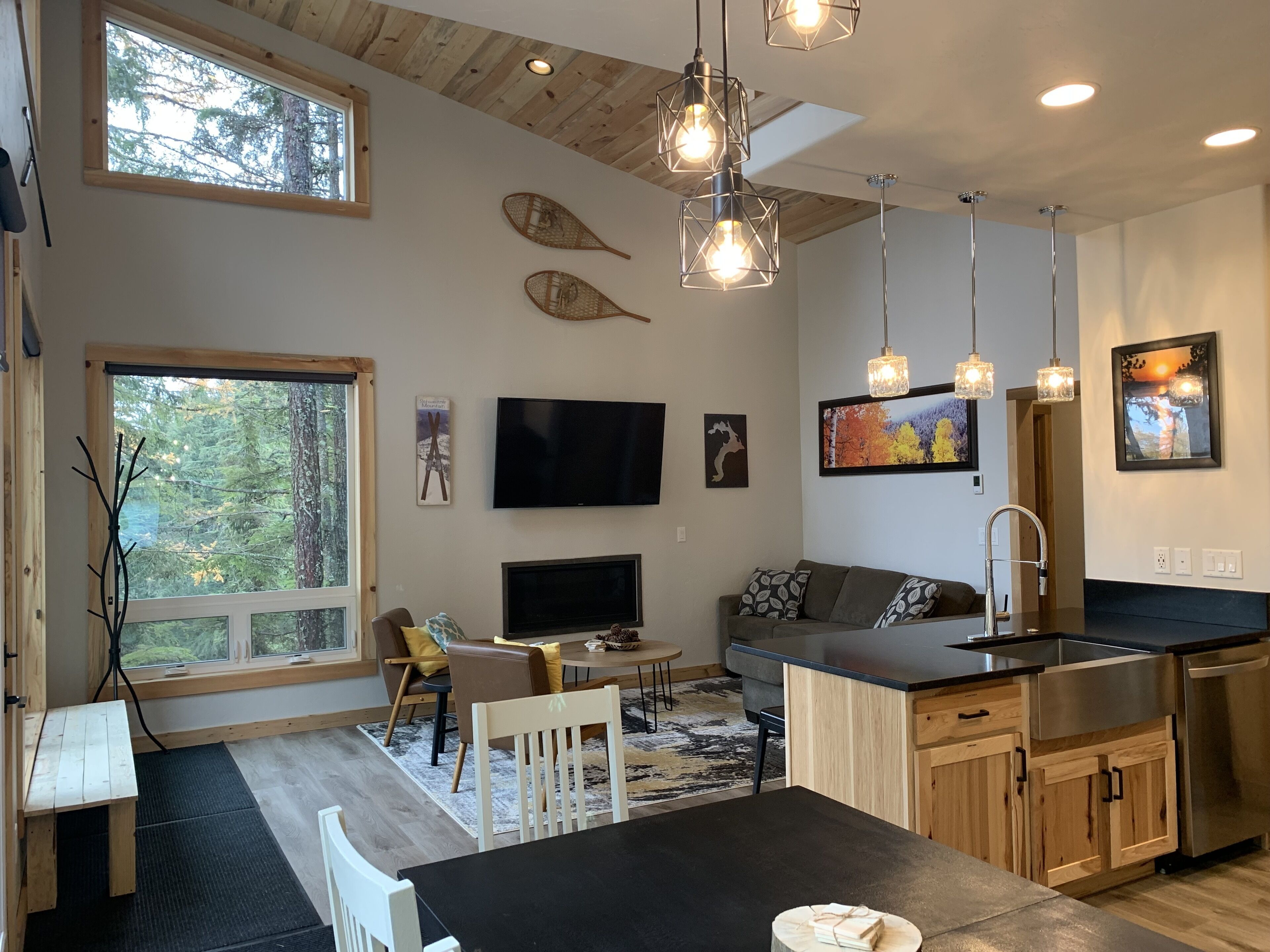 Smart TV, fireplace, DVD player, video library