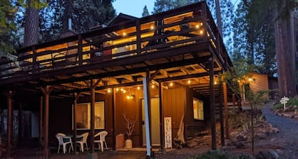 Ponderosa Paradise, Bonus Studio, Arcade Cabin, Walk To Town, Entire Cabin