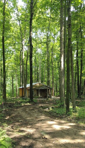 Cabin in the woods. Minutes to Pymatuning Lake.