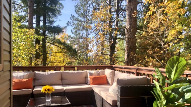 A covered outdoor seating area with a sectional sofa, a coffee table, and a potted plant. - Cozy pet-friendly home near hiking trails and Lake Vermilion (Tower)