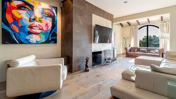 Télévision, cheminée, lecteur de DVD, chaîne hi-fi