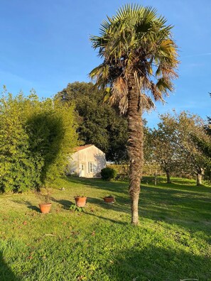 Et hus omgivet af frodig vegetation, herunder en palme og forskellige buske.