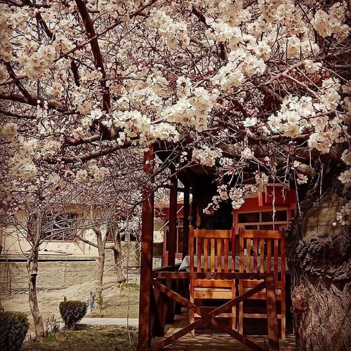 Northern Sapphire Hunza