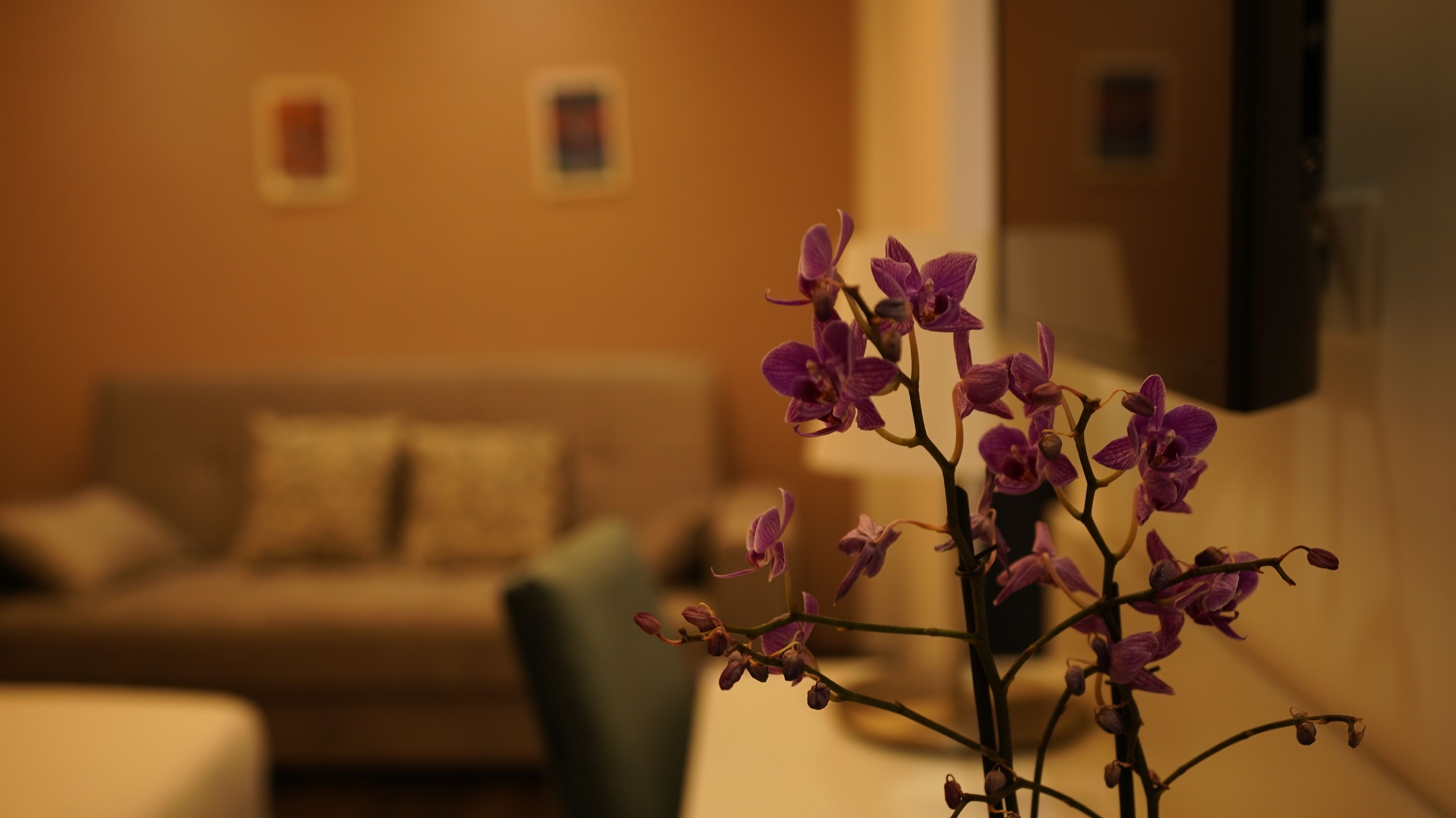 Foto - Palazzo Cappuccini Art Relais