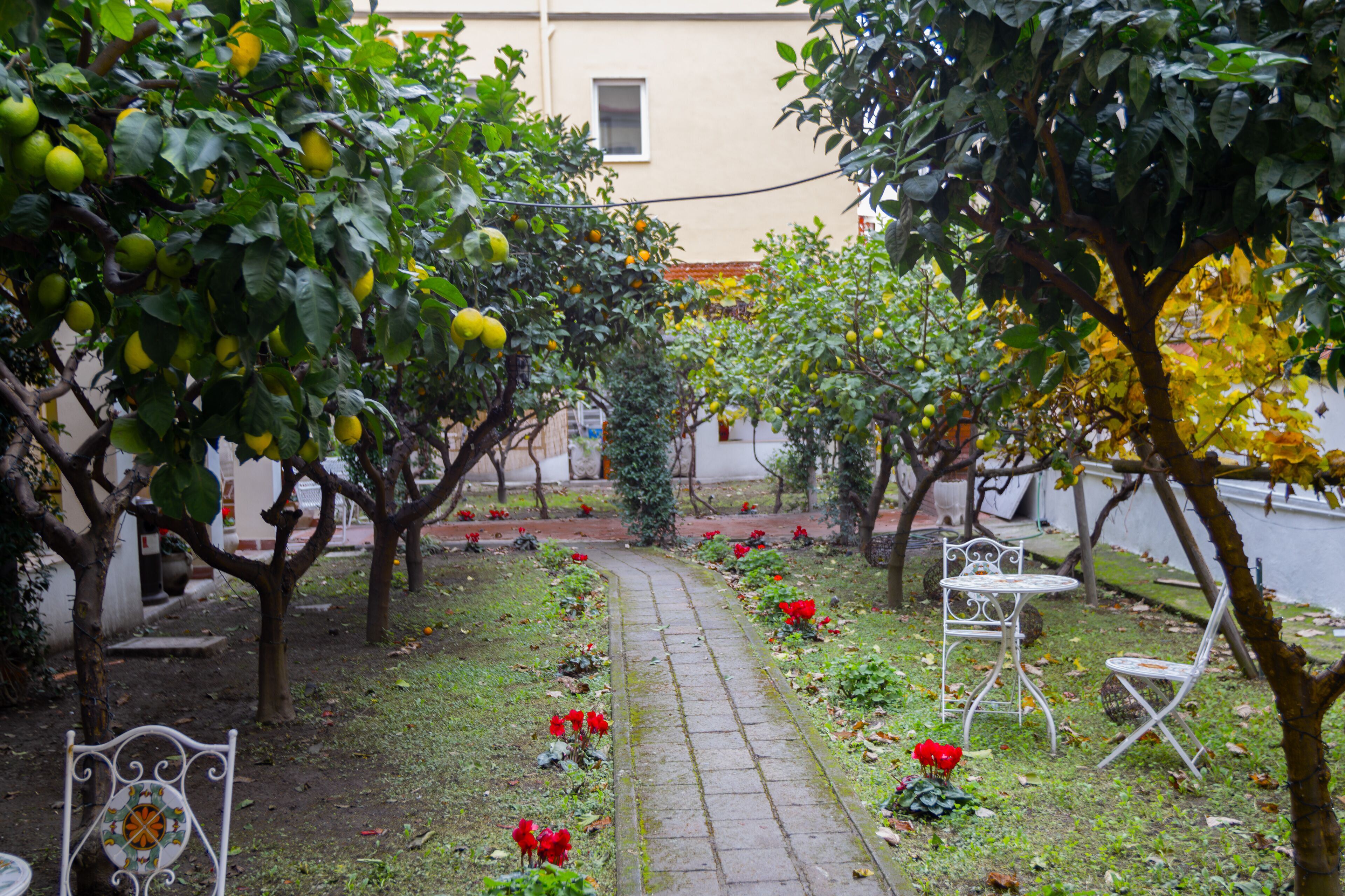 Foto - Palazzo Cappuccini Art Relais