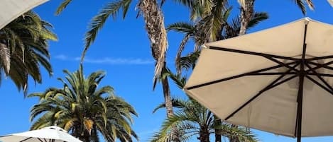 On the beach, sun-loungers, beach towels