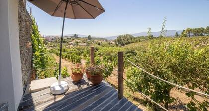 Quinta Da Estrada Winery Douro Valley FAMILY STUDIO