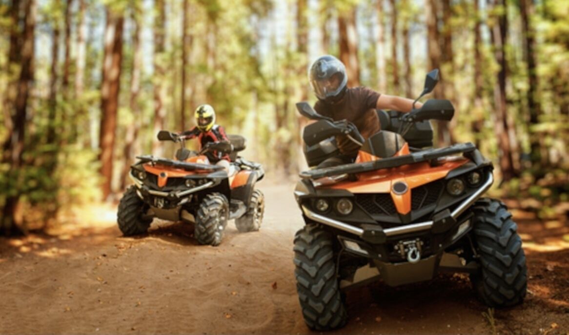 Two off-road vehicles in a forest setting.