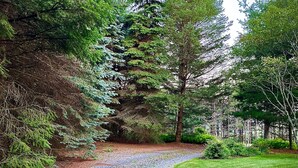 A gravel path leading through a lush garden with dense trees and a well-maintained lawn. - Hummingbird Hideaway (Galeton)