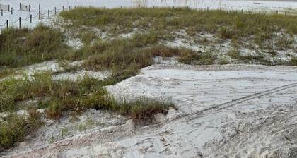 The Tyde at Mexico Beach