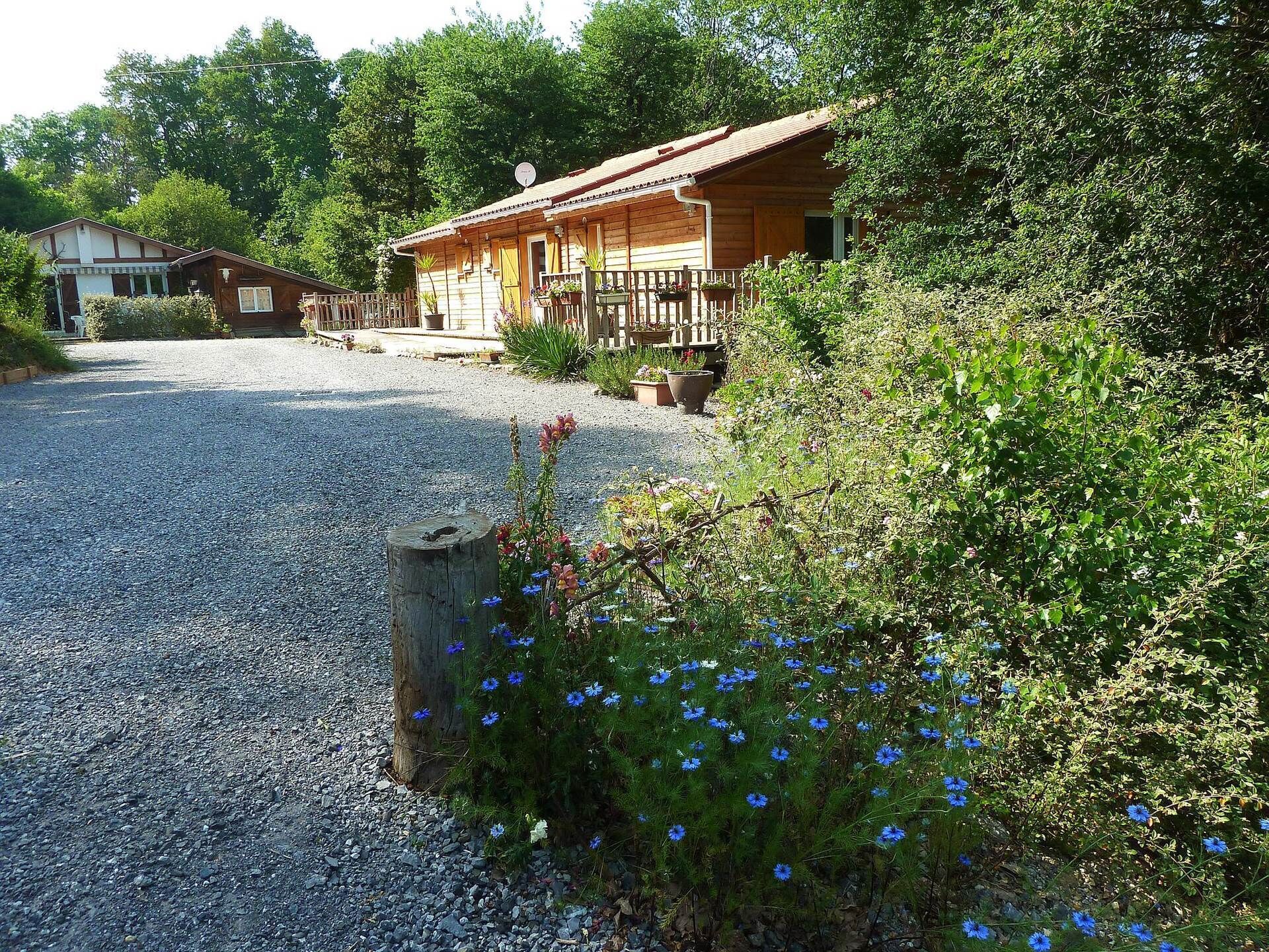 A wooden cabin with a gravel driveway, surrounded by dense greenery and flowering plants.