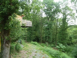 Escape to a secluded cabin surrounded by dense foliage, with a balcony offering a serene view of the forest.