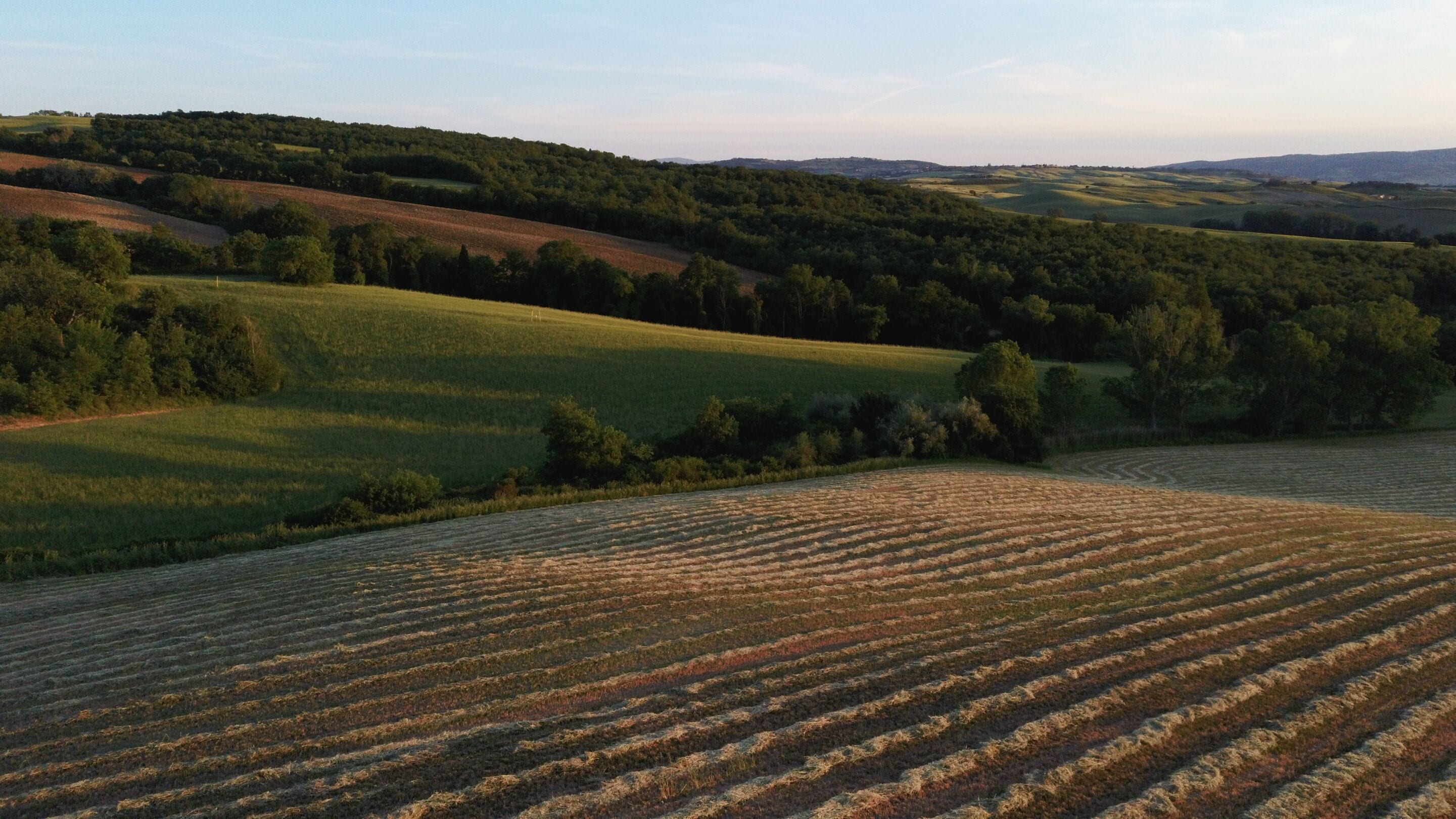A rural landscape with rolling hills, fields, and dense forests.
