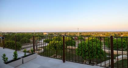 Double Room with Terrace