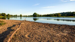 Une rive avec un sentier bien défini menant à l’eau, entourée de verdure et d’arbres.