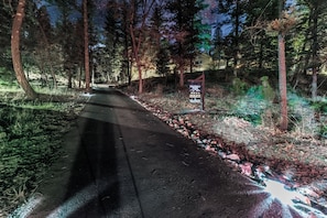 Escape to a serene wooded haven along a winding forest path.