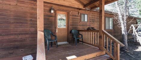 Studio (3 Bedrooms) | Property amenity