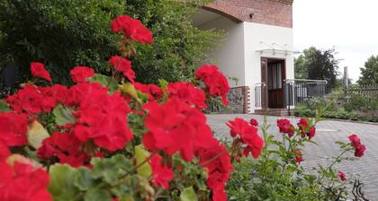 Ferienwohnung Mohnblume