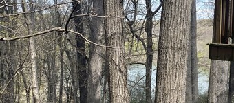 The Hoosier Lake House 