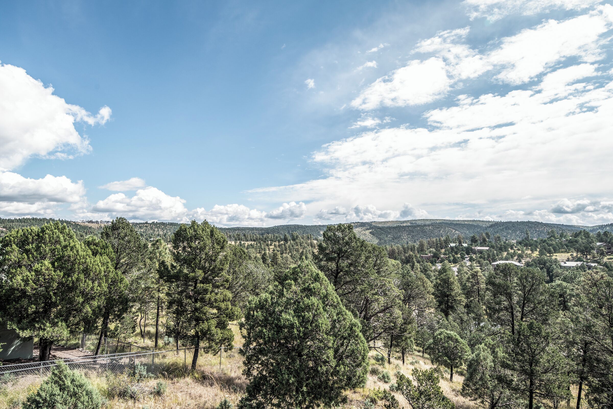 A forested landscape with a clear sky.