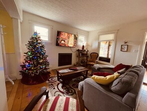 TV, fireplace - Niagara Wine Country Cottage (Lincoln)