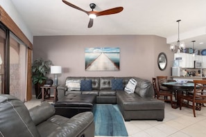 Smart TV, DVD player, books, video library