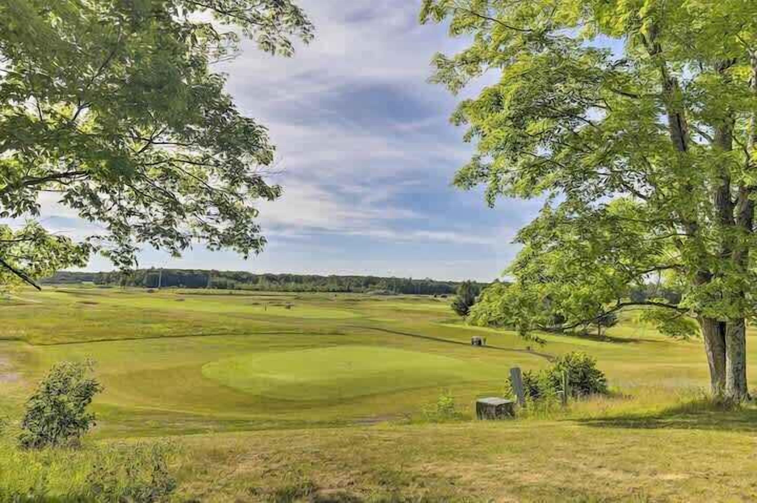 A golf course with a large tree in the foreground and a clear sky.