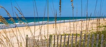 Splashing Dolphins by Distinctive Beach Rentals