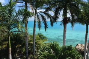 Ein tropischer Strand mit Palmen und klarem türkisblauem Wasser.