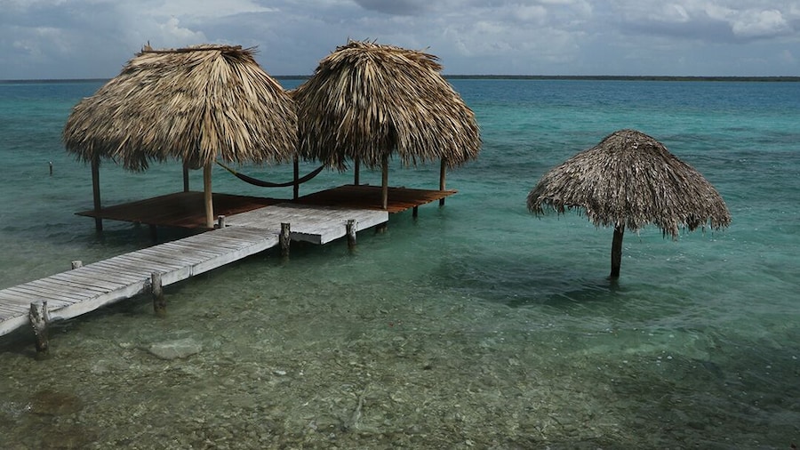 Agave Blue Bacalar