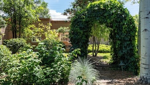 A garden with a variety of plants and a large archway covered in ivy. - Casita Contenta by Kokopelli Property Management (Santa Fe)
