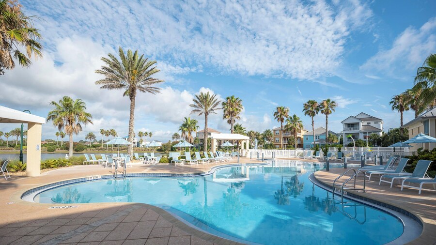 Three Palms