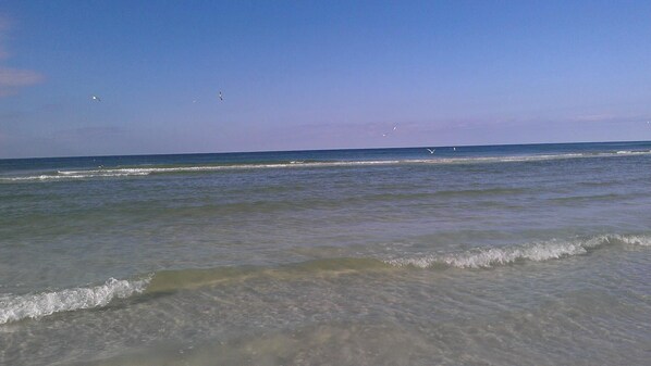 Playa en los alrededores, camastros y toallas de playa 