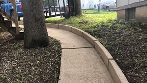 Ein Betonweg schlängelt sich um einen Baum, begrenzt von einer niedrigen Steinmauer.