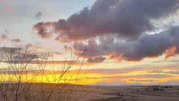 Serviettes de plage
