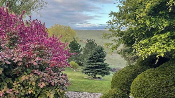 A landscaped garden with various trees and shrubs, a lawn, and a body of water in the background. - Sunset Hills1600 sq. ft. lower-level apt.<br>(3 bedrooms, 2 king beds) (Nampa)