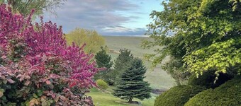Sunset Hills1600 sq. ft. lower-level apt.<br>(3 bedrooms, 2 king beds)