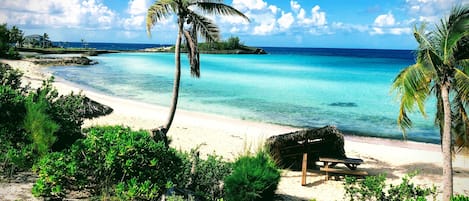 Playa en los alrededores, camastros y toallas de playa 