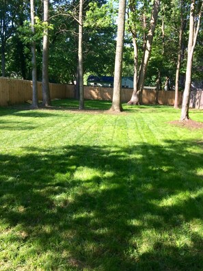 Enjoy a serene escape in this garden, surrounded by mature trees and a peaceful atmosphere.