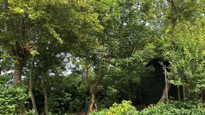 A lush garden with a variety of trees and shrubs, a wooden fence, and a picnic table. - Discover the diverse province of North Holland (Nieuwe Niedorp)