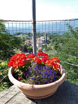 تفاصيل الفندق من الخارج