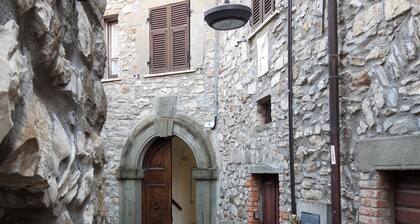 Cozy mini apartment on large terrace with unique view, pets allowed