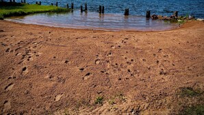 A sandy beach with a calm lake, wooden posts, and a forest in the background. - Lakeside Cottage Just Off Snowmobile/ATV Trail! (Lake Linden)