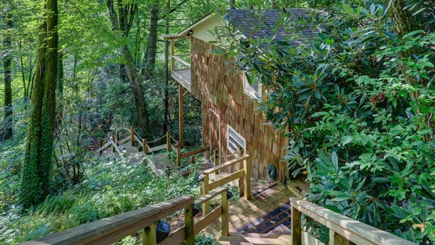 A wooden deck with a staircase leading to a treehouse in a forested area.