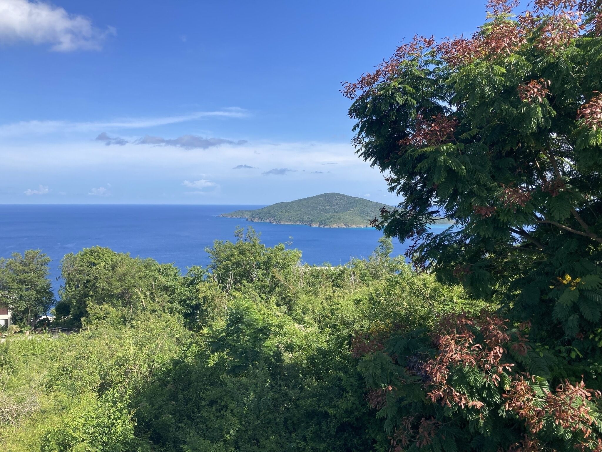 A coastal landscape with dense greenery and a view of the sea.