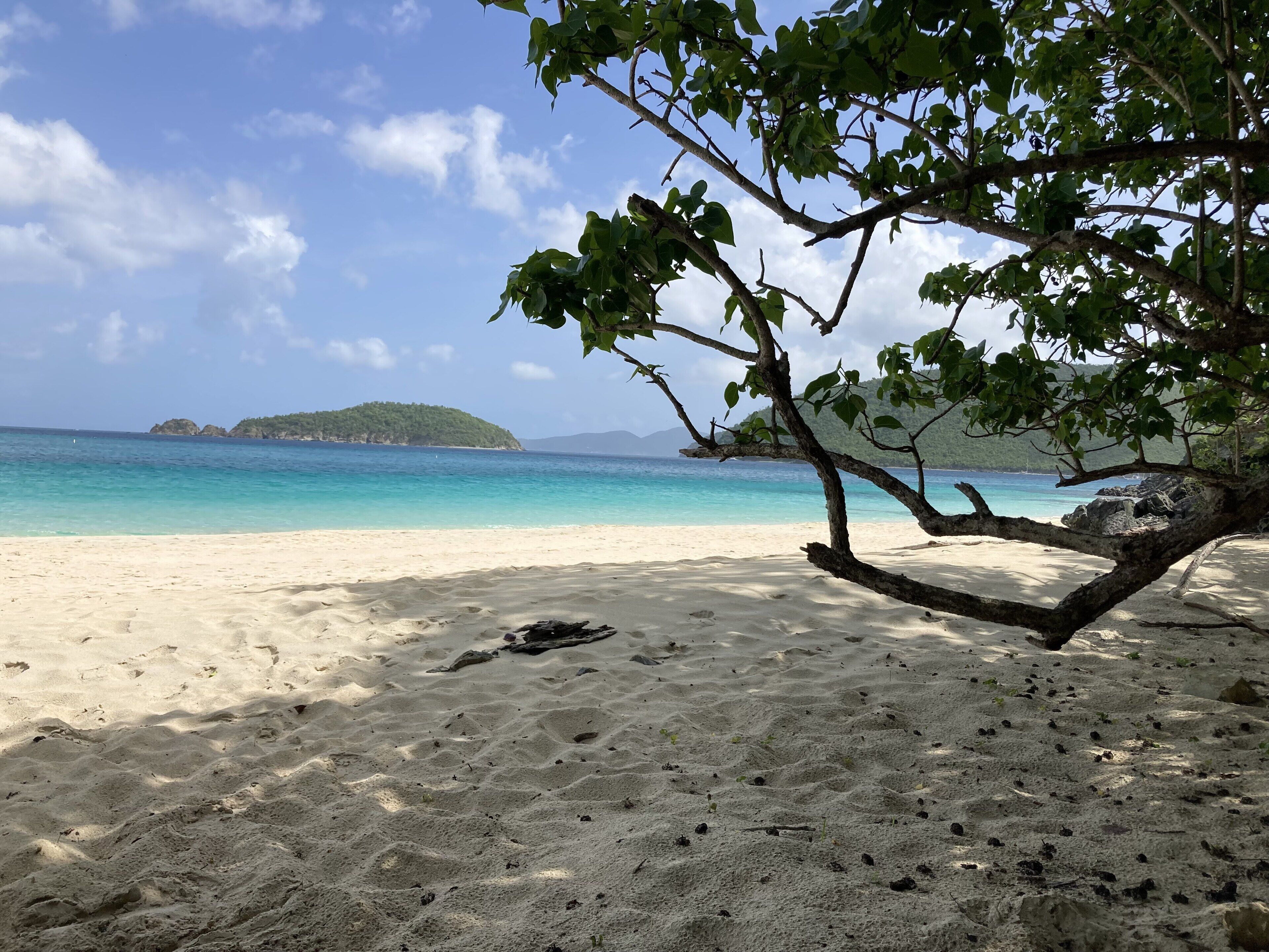 サンラウンジャー、ビーチタオル